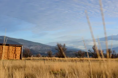 DSC_3099 (Large).JPG